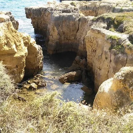Lena Αλμπουφέιρα